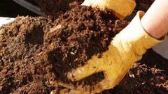 متابعة شكوى مزارع حول غلاء أسعار سماد الزيتون في الأسواق