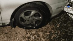 مستوطنون يقتحمون مقامات إسلامية ويحطمون 3 مركبات في كفل حارس