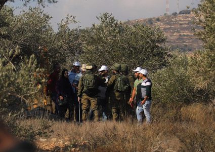 مزارعو ترقوميا يتصدون لمحاولات المستوطنين رش حقولهم بالمبيدات الحارقة