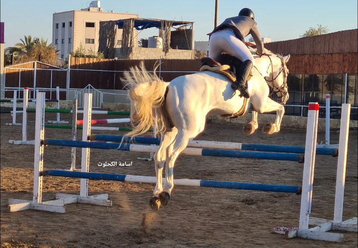 بطولة الدوري الفلسطيني لقفز الحواجز في غزة