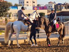 بطولة الدوري الفلسطيني لقفز الحواجز في غزة