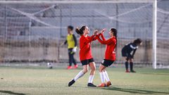 نهائي كأس رئيس الاتحاد للكرة النسوية الأحد المقبل