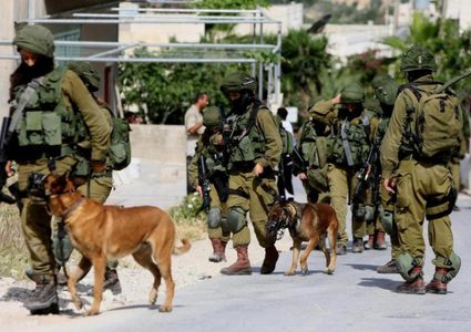 جيش الاحتلال يتعمد ترك كلب بوليسي ينهش الأسير مالك معلا لحظة اعتقاله بالبيرة
