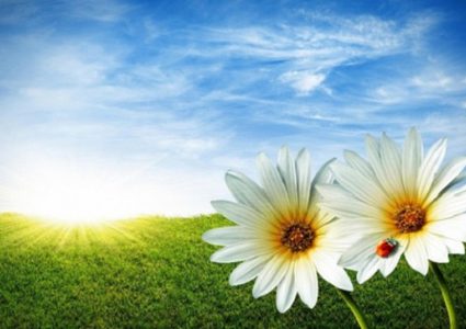 الطقس: ارتفاع على درجات الحرارة لتصبح حول معدلها السنوي العام