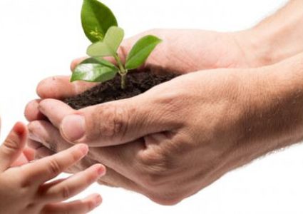 جمعية التضامن تنفذ صرفيتين للأيتام