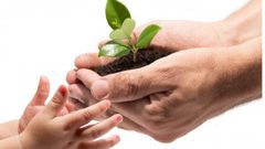 جمعية التضامن تنفذ صرفيتين للأيتام