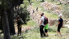 بيت لحم: مستوطنون يقتحمون بلدة تقوع ويؤدون طقوسا تلمودية