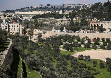 تجميد مخطط لتوسيع "الحديقة القومية" في جبل الزيتون