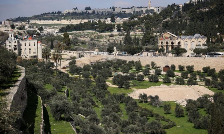 تجميد مخطط لتوسيع "الحديقة القومية" في جبل الزيتون