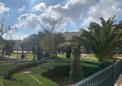 أجواء الصباح في جامعة النجاح