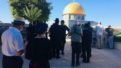 الاحتلال يعتقل أحد موظفي الأوقاف الإسلامية في القدس