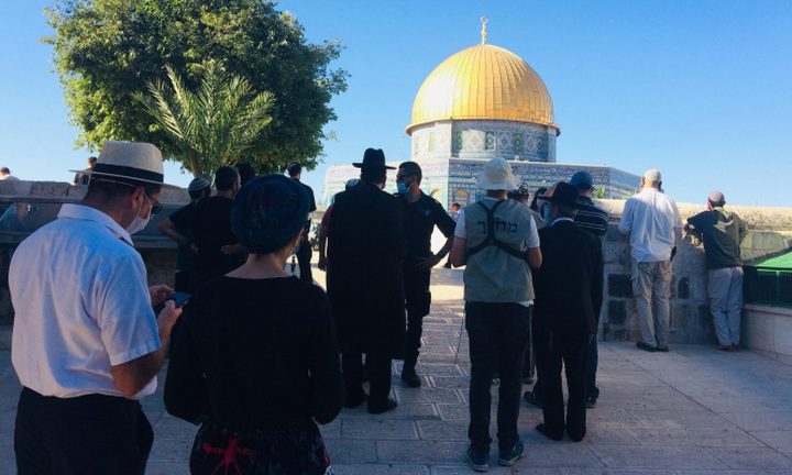 الاحتلال يعتقل أحد موظفي الأوقاف الإسلامية في القدس