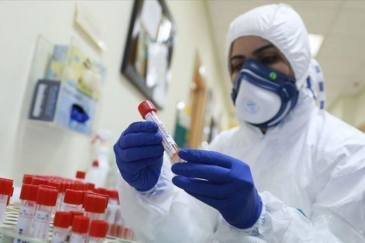 الصحة: 11 وفاة و1772 إصابة جديدة بفيروس كورونا خلال الـ 24 ساعة الماضية