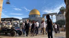 مستوطنين يقتحمون "الأقصى" وينفذون جولات استفزازية في باحاته