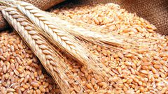 احتياطي القمح في لبنان يكفي شهرا وتونس تعزز مخزون الحبوب وتتجه لرفع أسعار الوقود