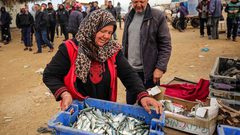 الحاجة أم جميل الأقرع من دير البلح تشتري الأسماك من الحسبة لتبيعها في السوق، لكسب لقمة العيش لأسرتها بعد وفاة زوجها- تصوير عطية درويش