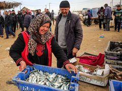 الحاجة أم جميل الأقرع من دير البلح تشتري الأسماك من الحسبة لتبيعها في السوق، لكسب لقمة العيش لأسرتها بعد وفاة زوجها- تصوير عطية درويش