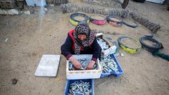 الحاجة أم جميل الأقرع من دير البلح تشتري الأسماك من الحسبة لتبيعها في السوق، لكسب لقمة العيش لأسرتها بعد وفاة زوجها- تصوير عطية درويش