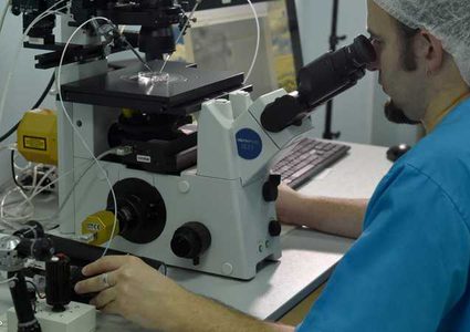 روسيا تتهم كييف بالتعاون مع أميركا لنشر فيروسات قاتلة