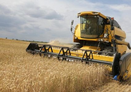 أكبر الدول المصدرة للقمح في العالم