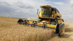 أكبر الدول المصدرة للقمح في العالم