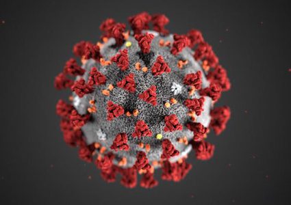 ٧ وفيات و٧٩ إصابة جديدة بفيروس كورونا في فلسطين