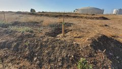 الاحتلال يقرر استئناف "التشجير" الاستيطاني في النقب