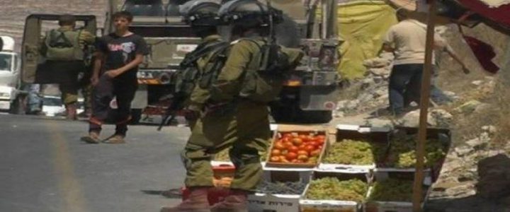 الاحتلال يستولي على كميات من الخضراوات والفواكه بالأغوار الشمالية