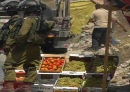 الاحتلال يستولي على كميات من الخضراوات والفواكه بالأغوار الشمالية