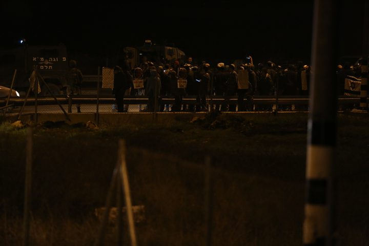 مستوطنون يسرقون أغناما من عين سامية قرب رام الله