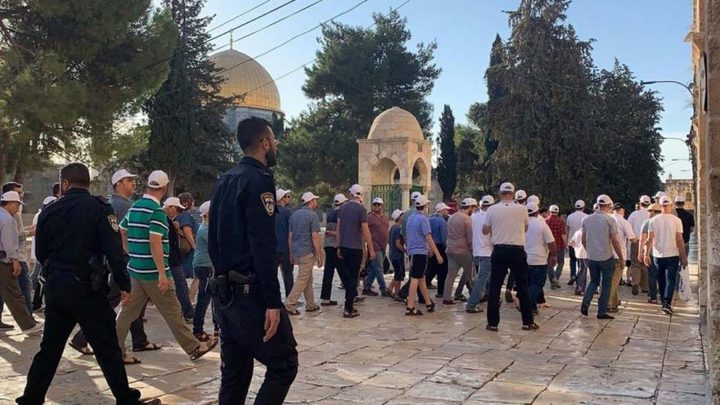 الخارجية: الاحتلال يواصل حربه التهويدي ضد الأقصى وسط تخاذل دولي ملحوظ