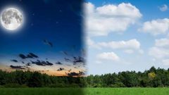 الاعتــــدال الربيعـــي وتســاوي الليــــل والنهــــار