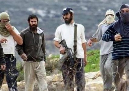 مستوطنون يعتدون على عدد من المعلمين جنوب الخليل