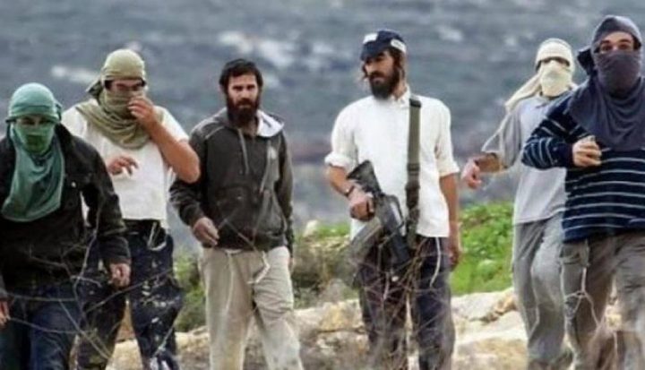 مستوطنون يعتدون على عدد من المعلمين جنوب الخليل