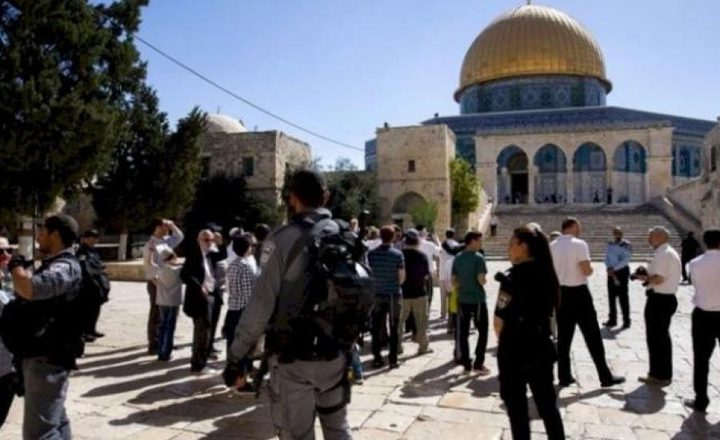 عشرات المستوطنين يقتحمون "الأقصى"