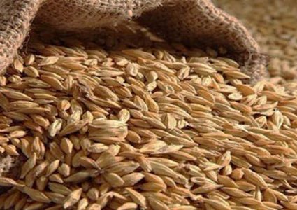 التجارة العالمية تحذر من خطر اندلاع اضطرابات بسبب ارتفاع أسعار الغذاء