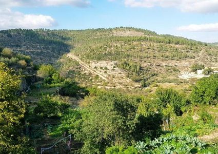 الاحتفال باليوم الوطني للبيئة الفلسطينية في بيت لحم