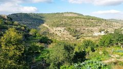 الاحتفال باليوم الوطني للبيئة الفلسطينية في بيت لحم