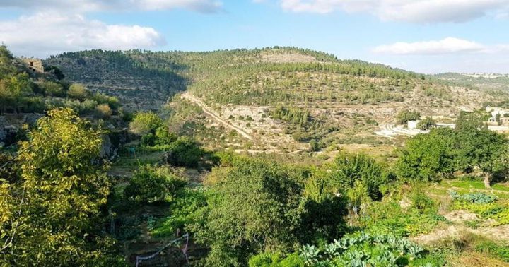 الاحتفال باليوم الوطني للبيئة الفلسطينية في بيت لحم