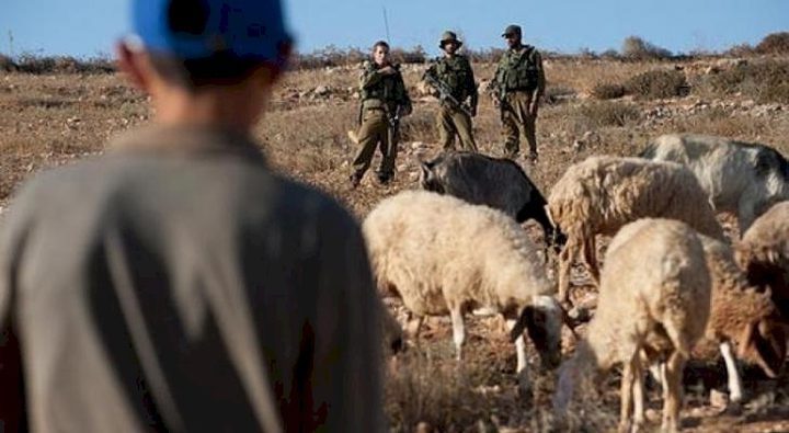 إصابة راعي أغنام بحروق إثر اعتداء للمستوطنين جنوب الخليل