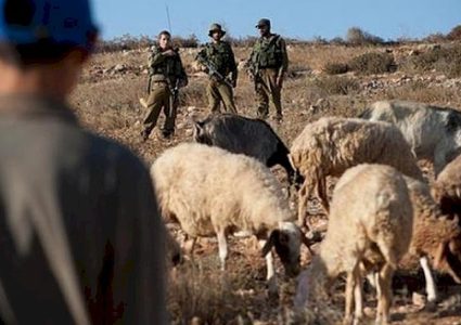 إصابة راعي أغنام بحروق إثر اعتداء للمستوطنين جنوب الخليل