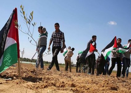 فلسطينيو الداخل المحتل عام 48 يحيون يوم الأرض