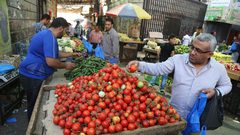الإحصاء: ارتفاع أسعار المنتج خلال شهر كانون الثاني