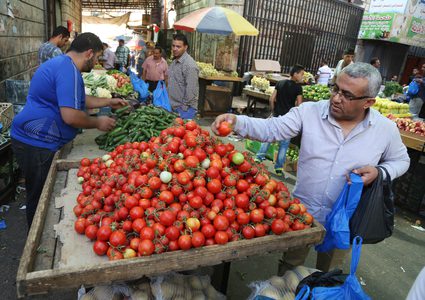 الإحصاء: ارتفاع أسعار المنتج خلال شهر كانون الثاني