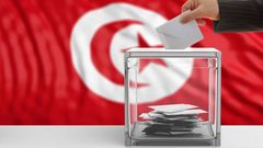 الرئيس التونسي: الانتخابات لن تُجرى بعد 3 أشهر