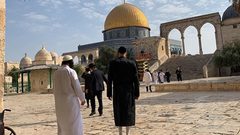 166 مستوطنا يقتحمون الأقصى في ثاني أيام شهر رمضان