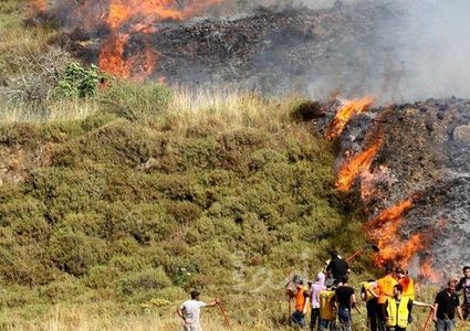 الخليل: مستوطنون يحرقون أخشاباً للبناء ويسرقون معدات