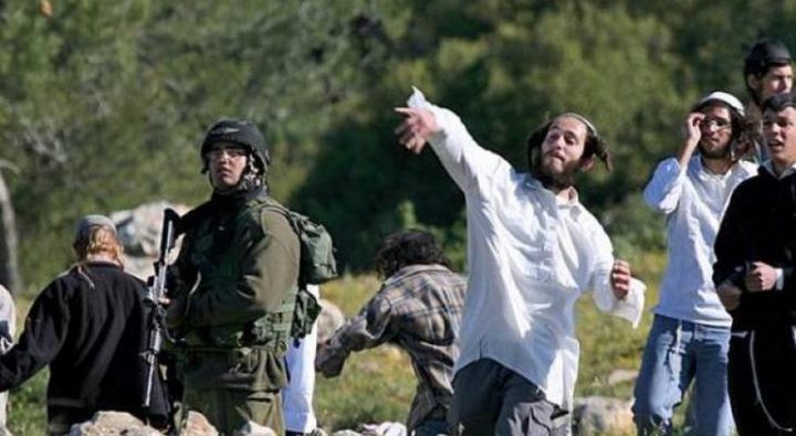 مستوطنون يعربدون على طريق طولكرم- ونابلس