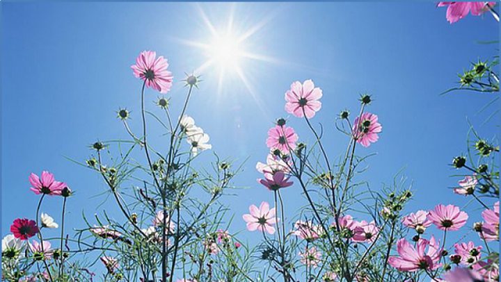 حالة الطقس: ارتفاع على درجات الحرارة والأجواء ربيعية