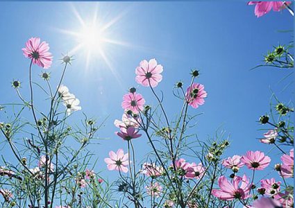 حالة الطقس: ارتفاع على درجات الحرارة والأجواء ربيعية